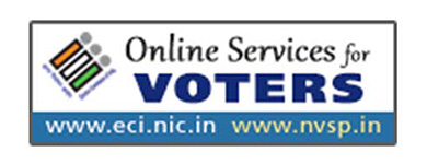 Online Services for Voters